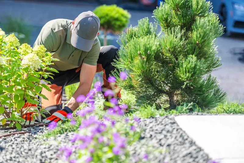 Gardener planting vibrant flowers in a professionally designed landscape bed.