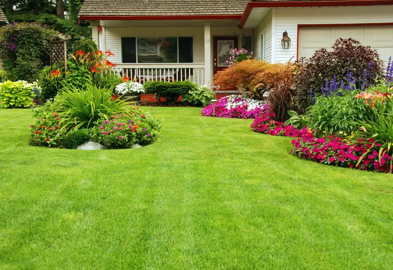 Well-maintained front yard lawn with colorful flower garden landscaping.