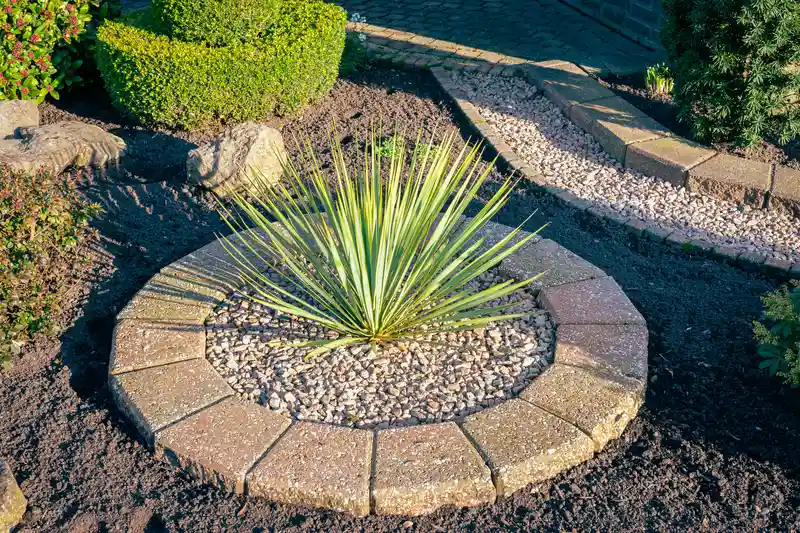 Round brick landscape edging with gravel and spiky plant.