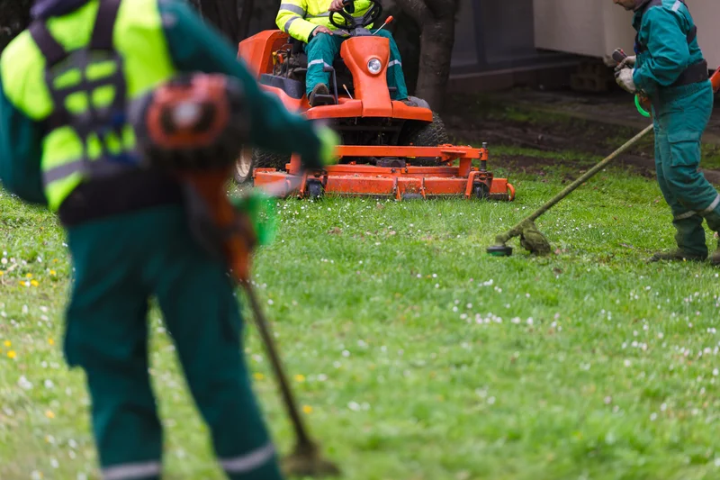 Landscaping crew using lawnmowers and weed eaters on a green lawn. Landscaping crew using lawnmowers and weed eaters on a green lawn.
